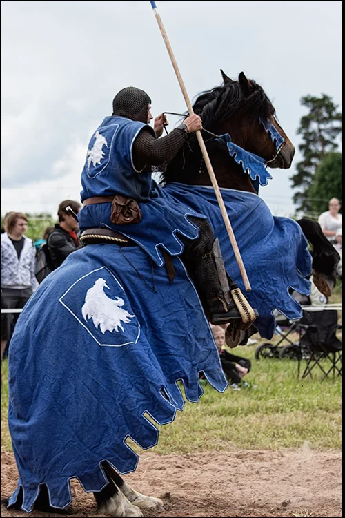 gss15.jpg