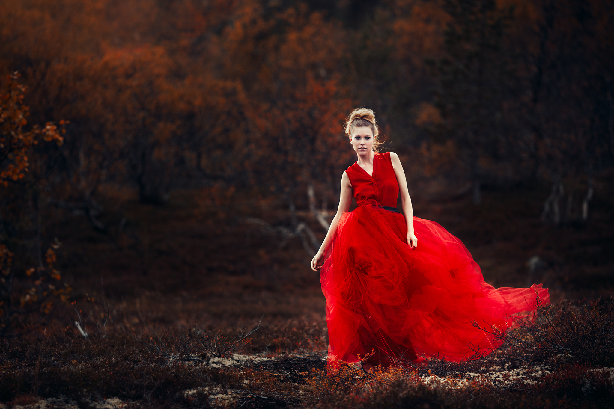 reddress.jpg