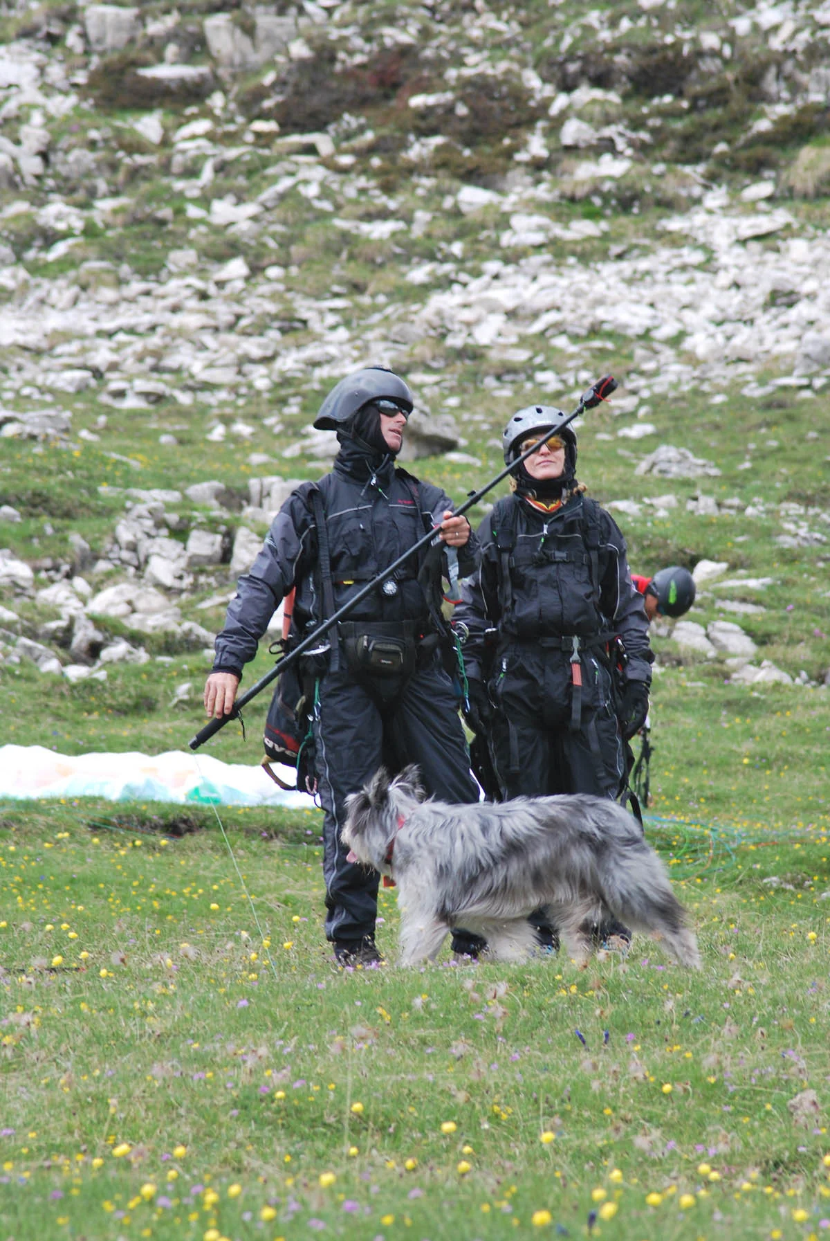 DSC_0848mod.jpg