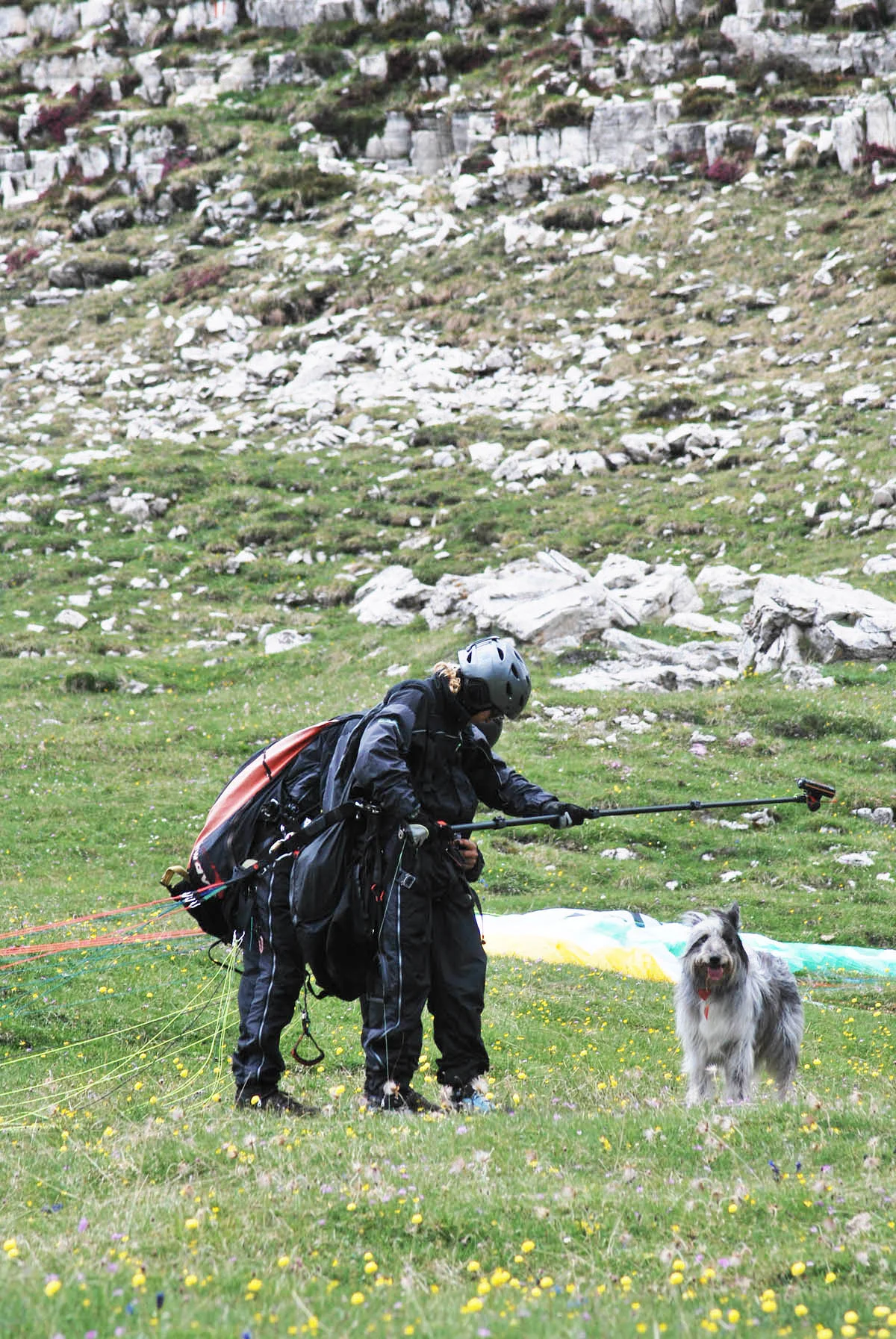 DSC_0849mod.jpg