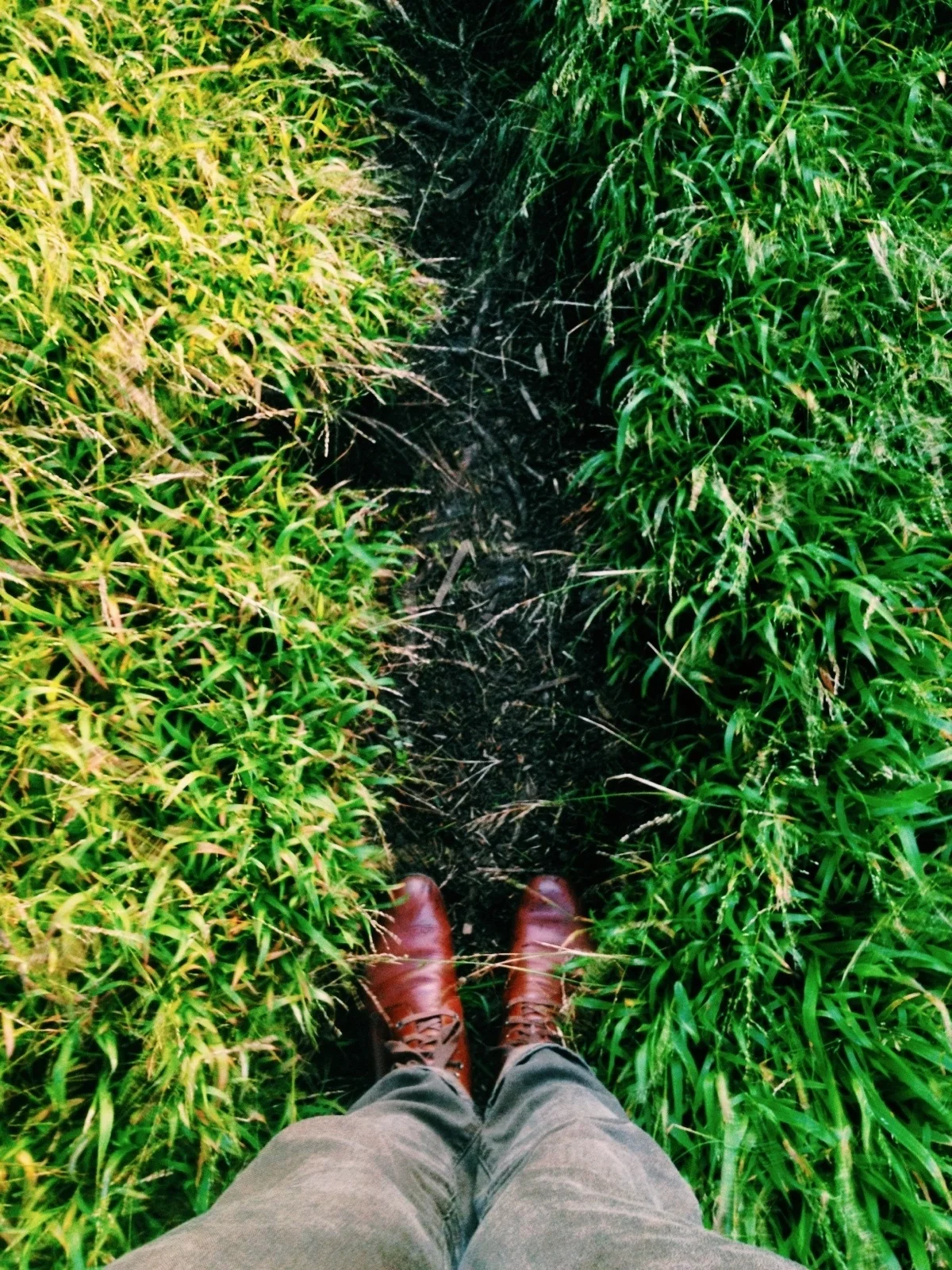 vsco_082413_145.jpg