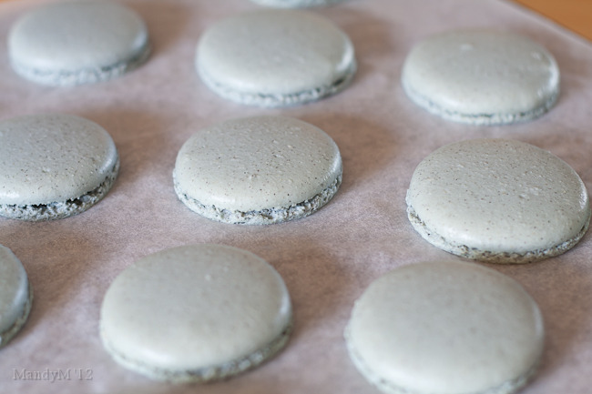 earl grey macaron-7145.jpg