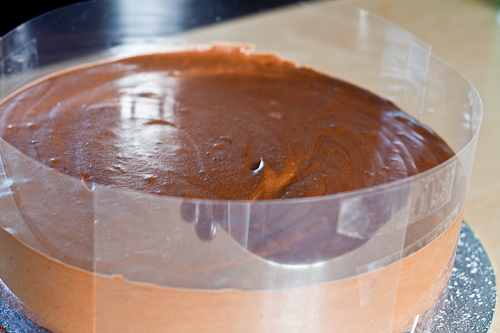 chocolate mousse cake-7079.jpg