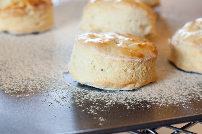 db scones-4996.jpg