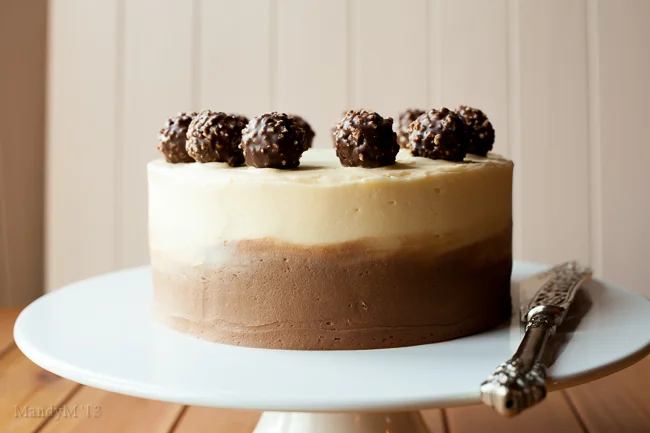 Choc Nutella Cake-0091.jpg