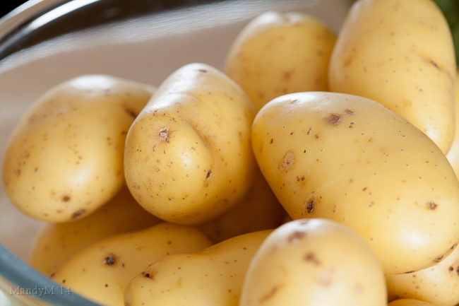 Sweet new potatoes