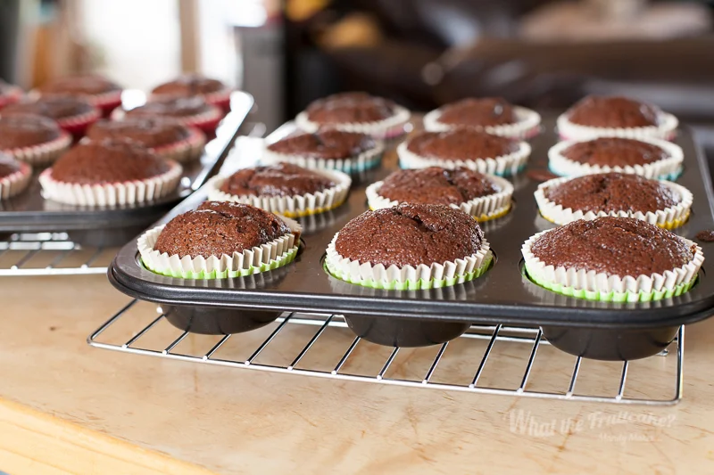 Choc Malt Cupcakes-1297.jpg