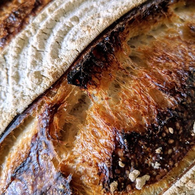 My weekly loaf
-
-
#sourdough #realbread #realbreadireland #closeup #teampixel #teampixel2 #slowfood #fermentedfoods #breadobsessed #fromscratch #crusty #crumbshot