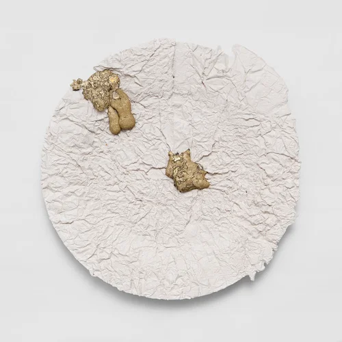 Wrinkled plate. Photo by David Joosten