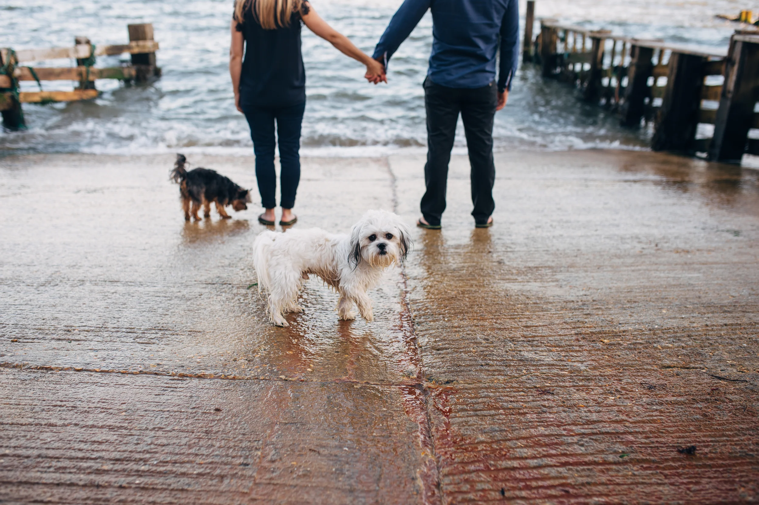 SADIE+ED{PRE-WEDDING SHOOT}EAST DENE WEDDING