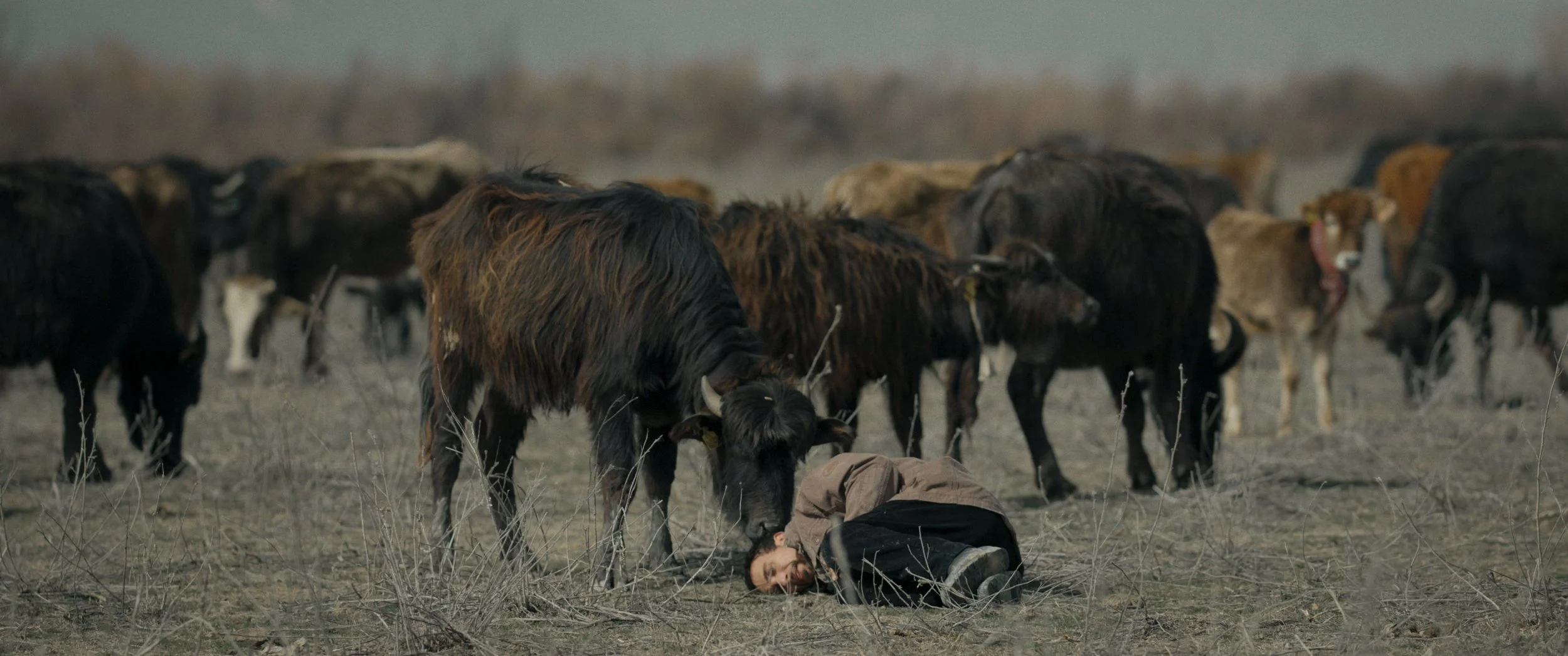 The Reeds_Still04.jpeg