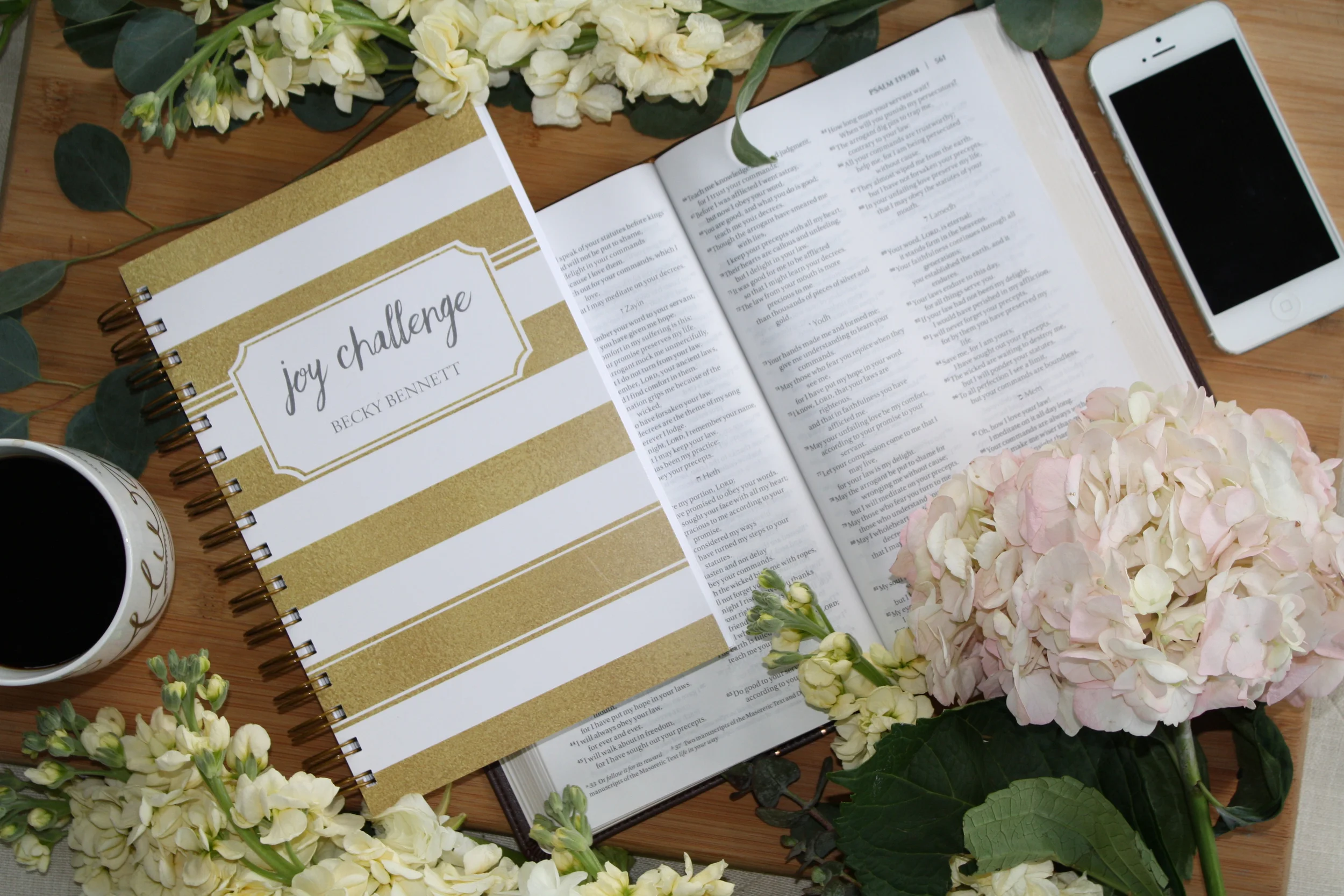 Joy Challenge_Pink.jpg