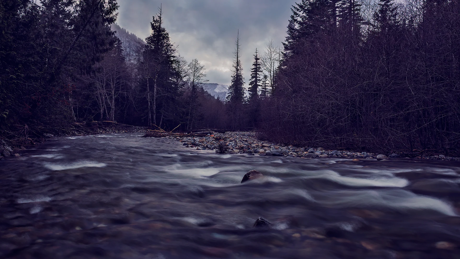 Stream in the Cascade Mountains near Snoqualmie Pass, WA.