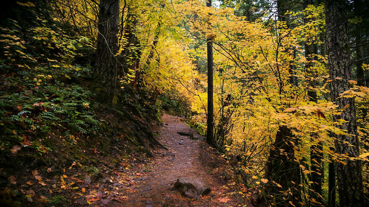 Rattlesnake-Ridge-022-Edit.jpg