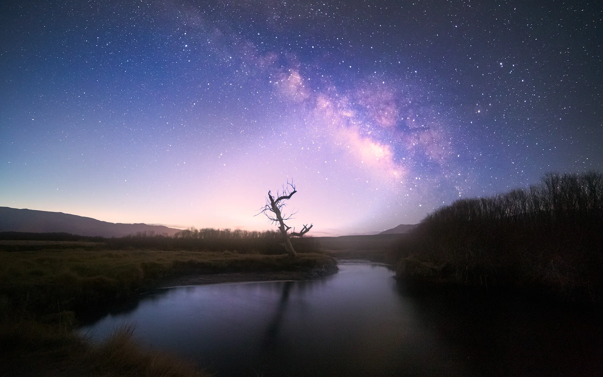 Mike_Hitchner_Milky_Way_Tree_1920.jpg