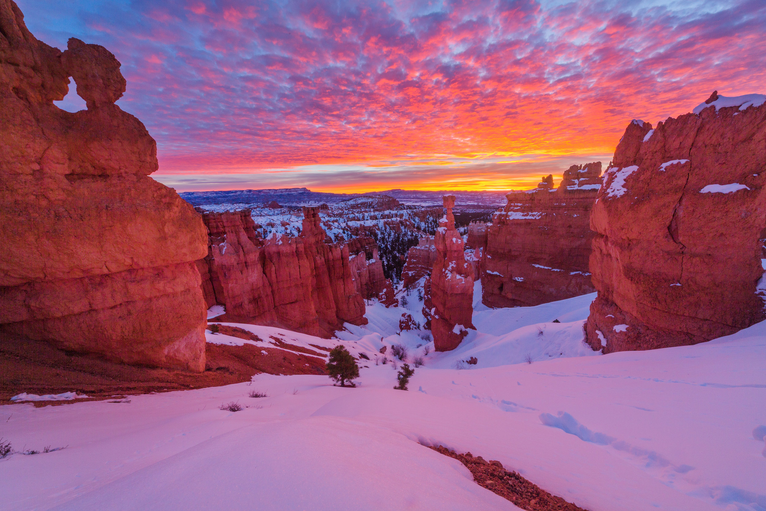 Bryce Canyon.jpg