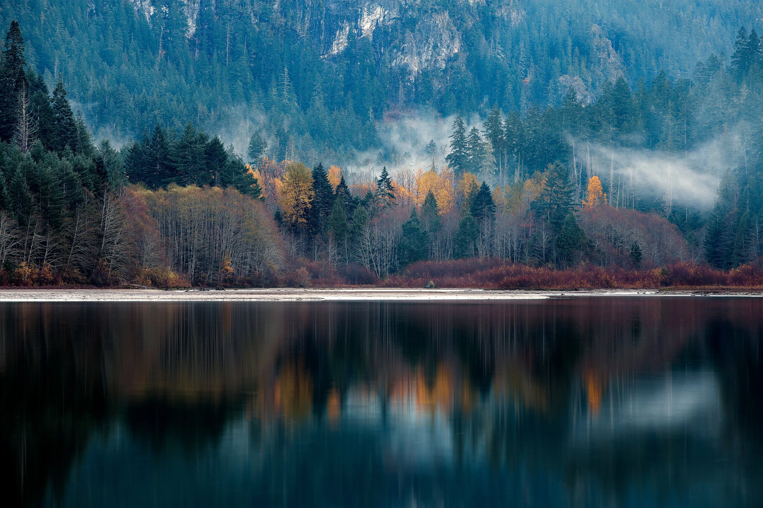 Splashes of Gold.jpg