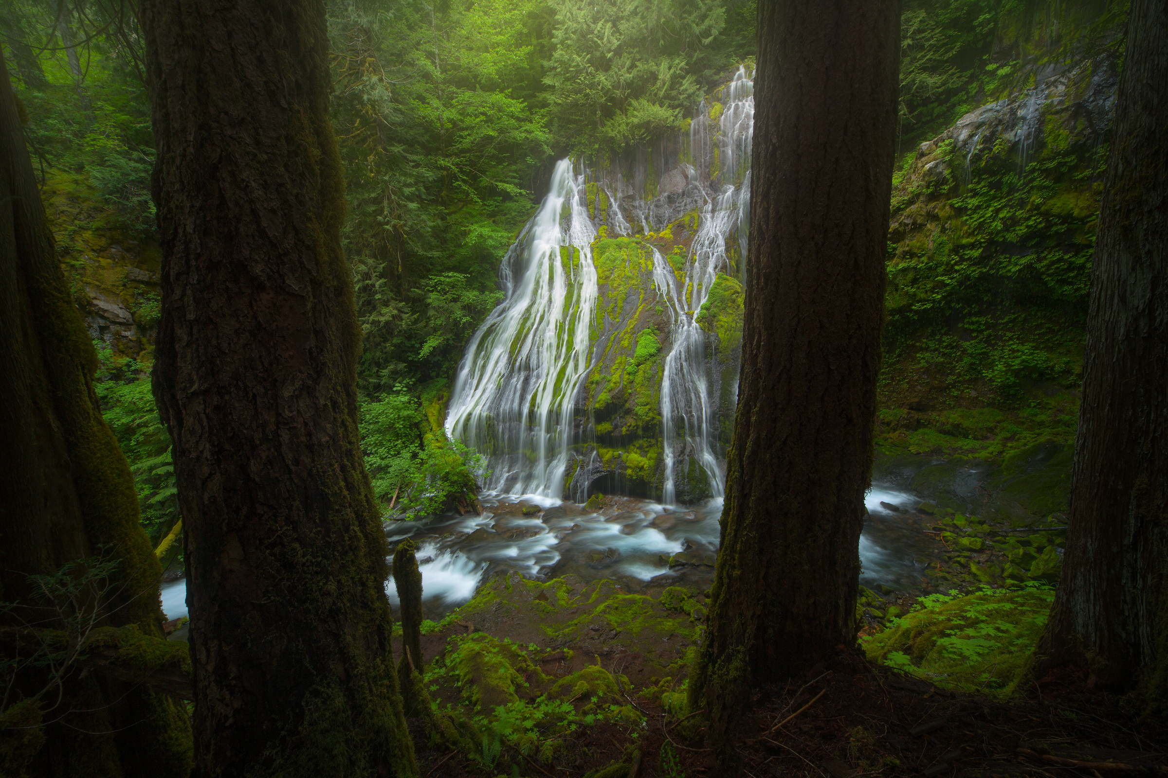 Panther Creek Falls - WA 2.jpg