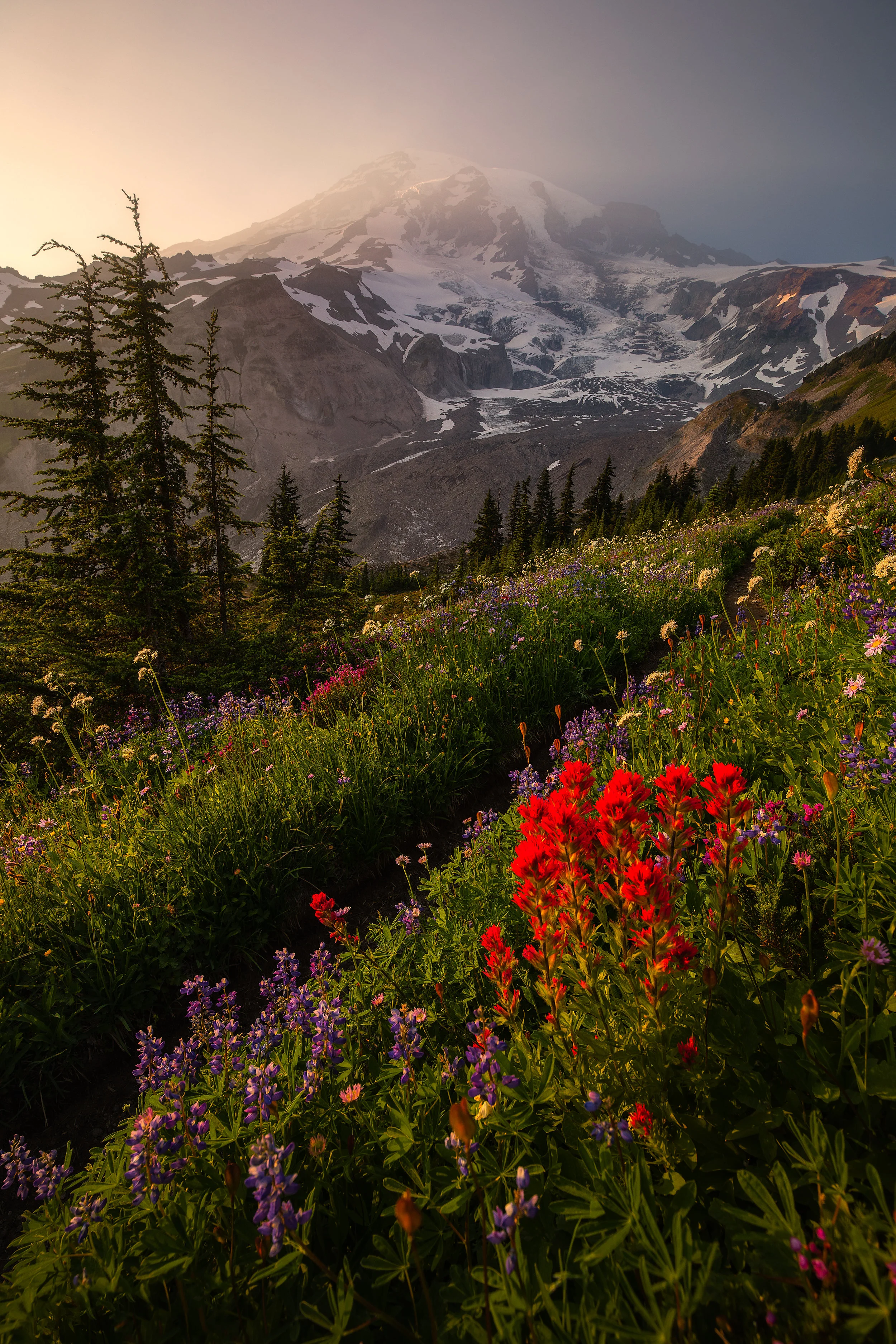 _A5A6993-Edit-Edit-2.jpg