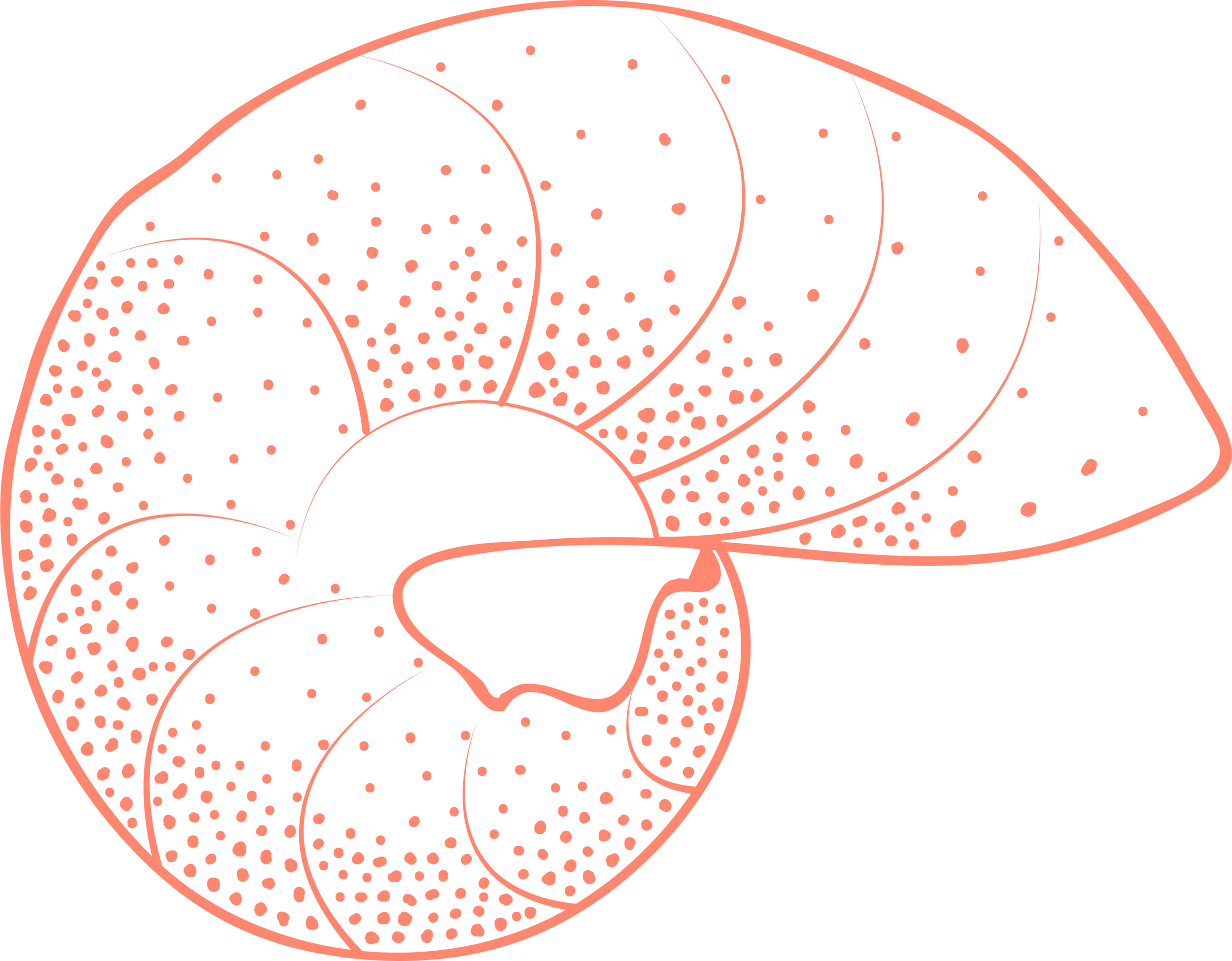 adoramaPix-illustration-by-natasha-rose-03.png