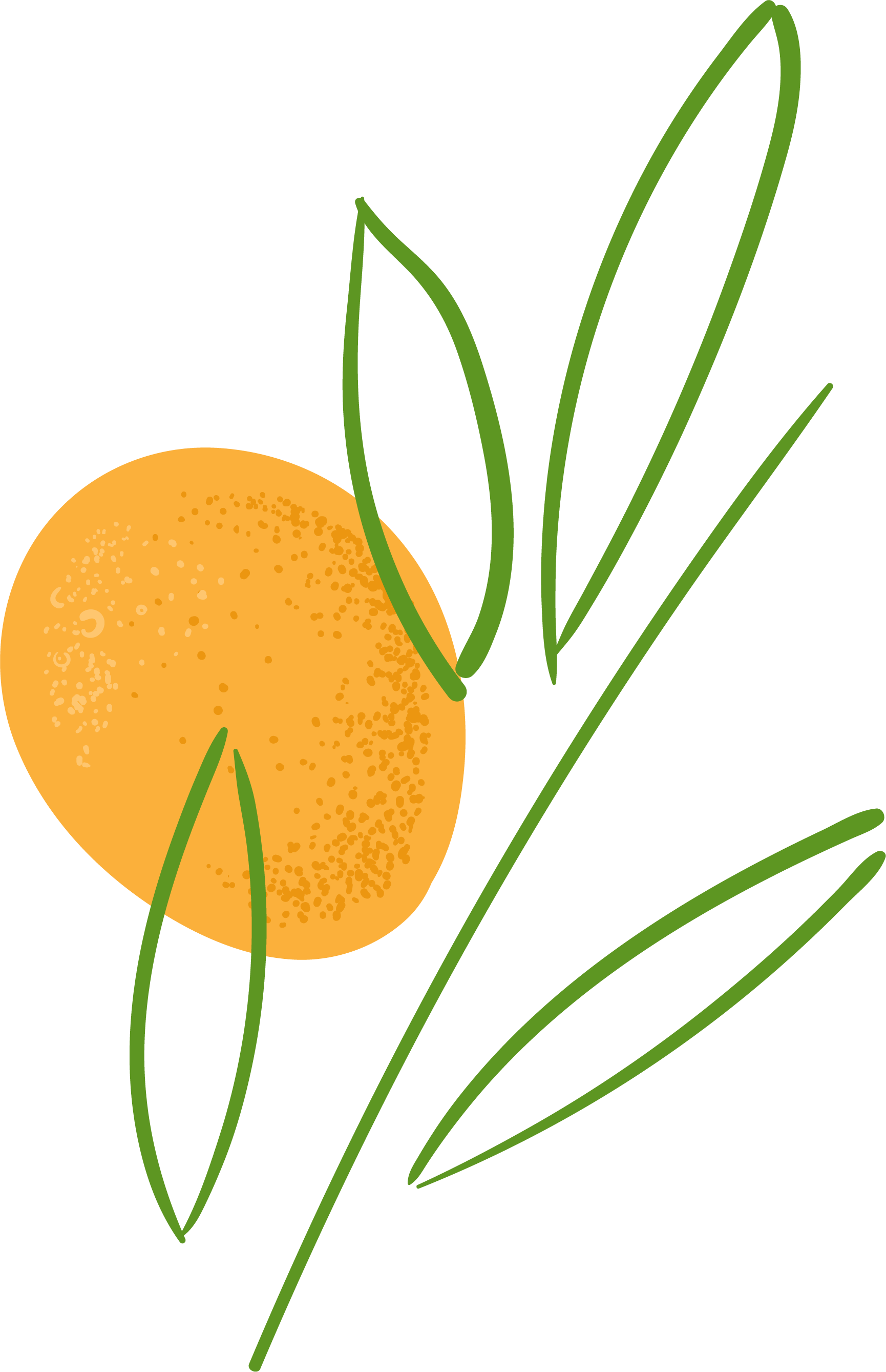 doramaPix-illustration-by-natasha-rose-05.png