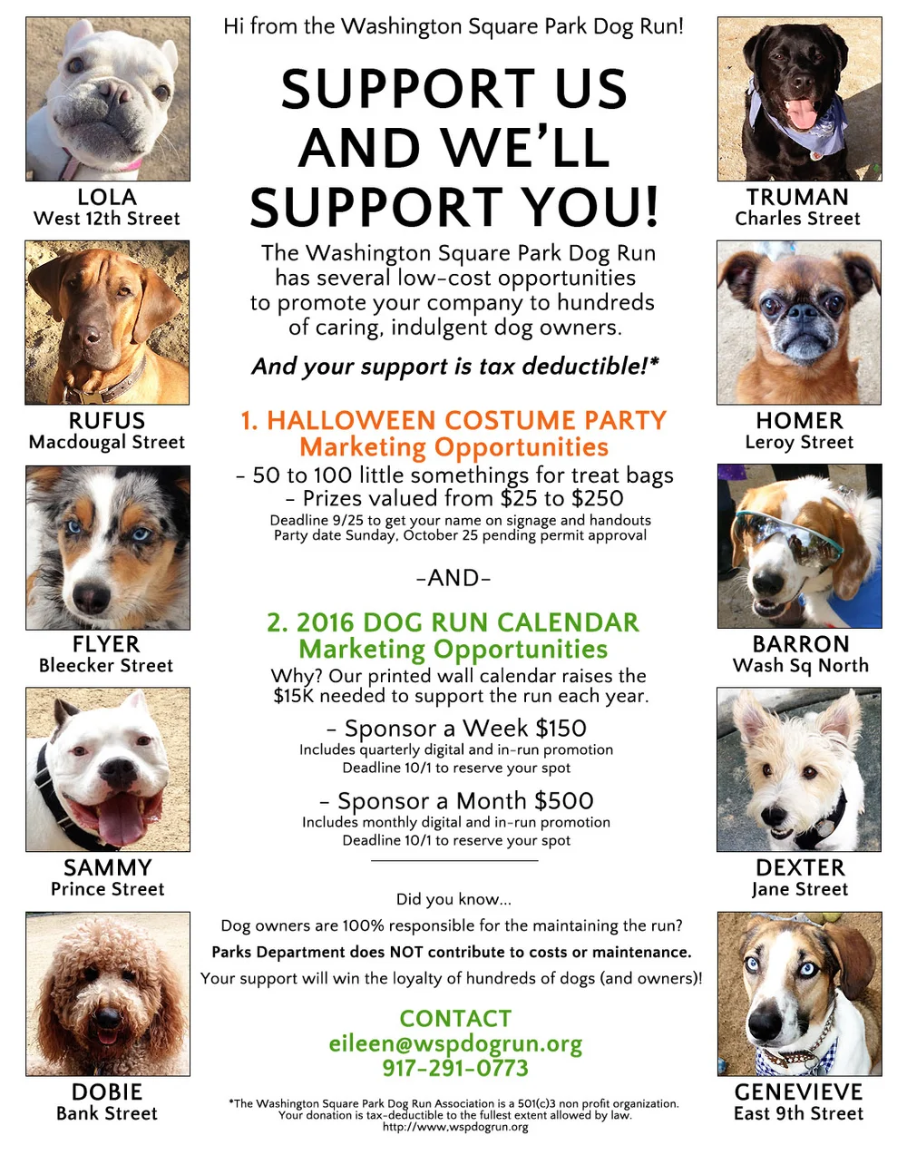 Why Do Dogs Take Your Spot