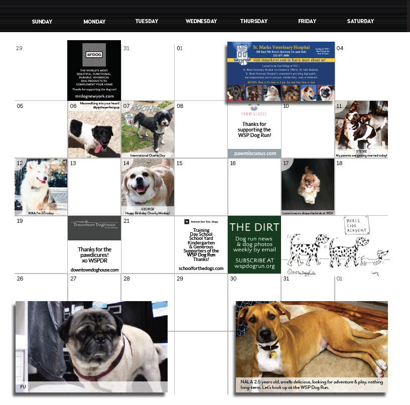 Screen Shot 2018-08-31 at 3.37.30 PM.png