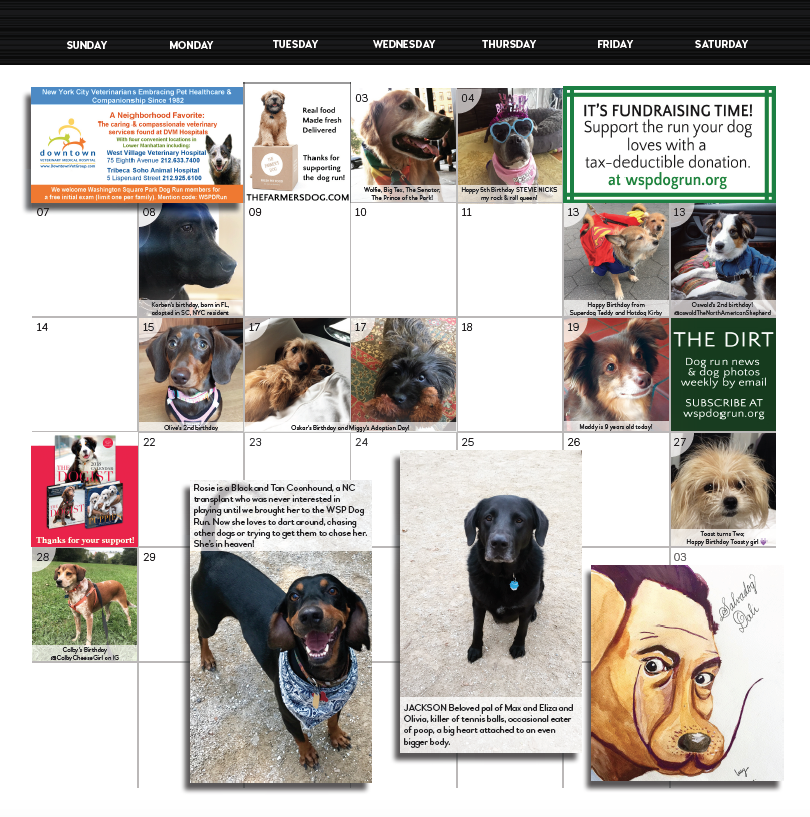 Screen Shot 2018-08-31 at 3.40.17 PM.png