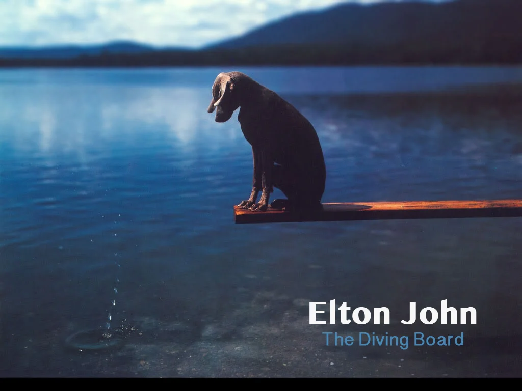 Divingboard1.jpg
