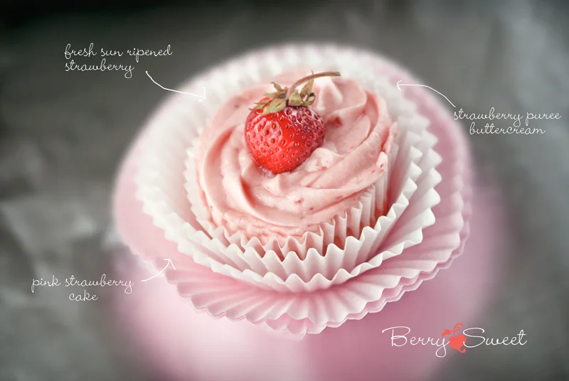 Berry Sweet - Summer Seasonal - Fancy Cupcakes