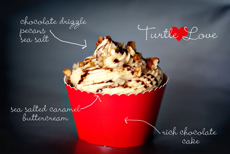 Turtle Love - Valentine - Fancy Cupcake