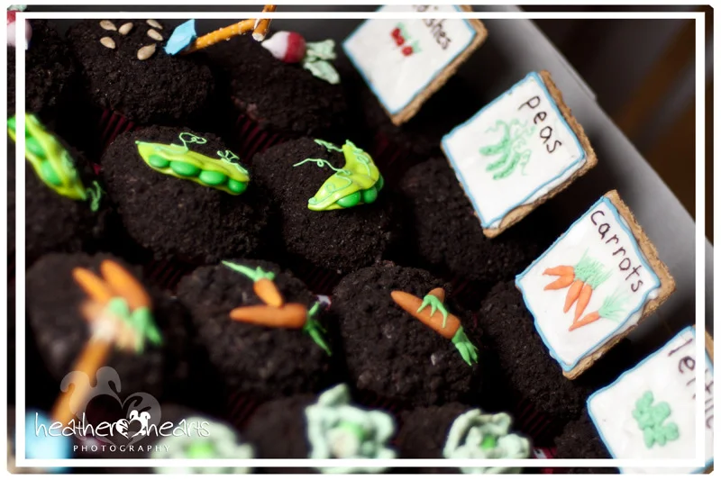 How Does Your Garden Grow? - Fun Cupcake