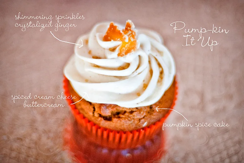 Pumpkin It Up - Fall - Fancy Cupcake