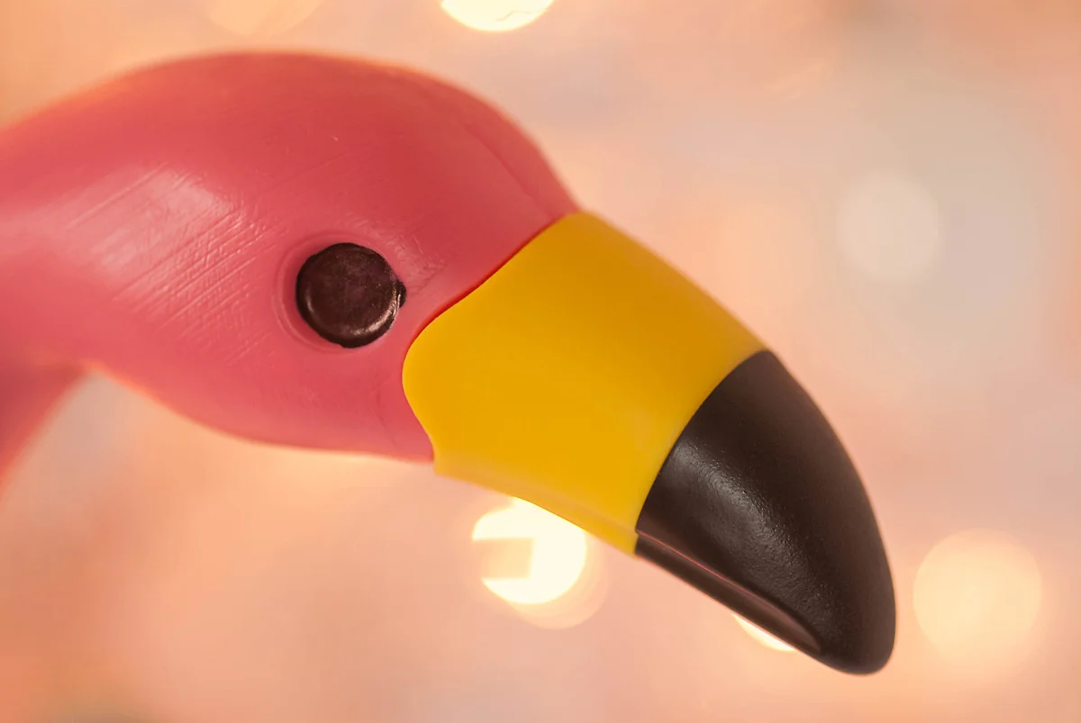 Festive Flamingo Party