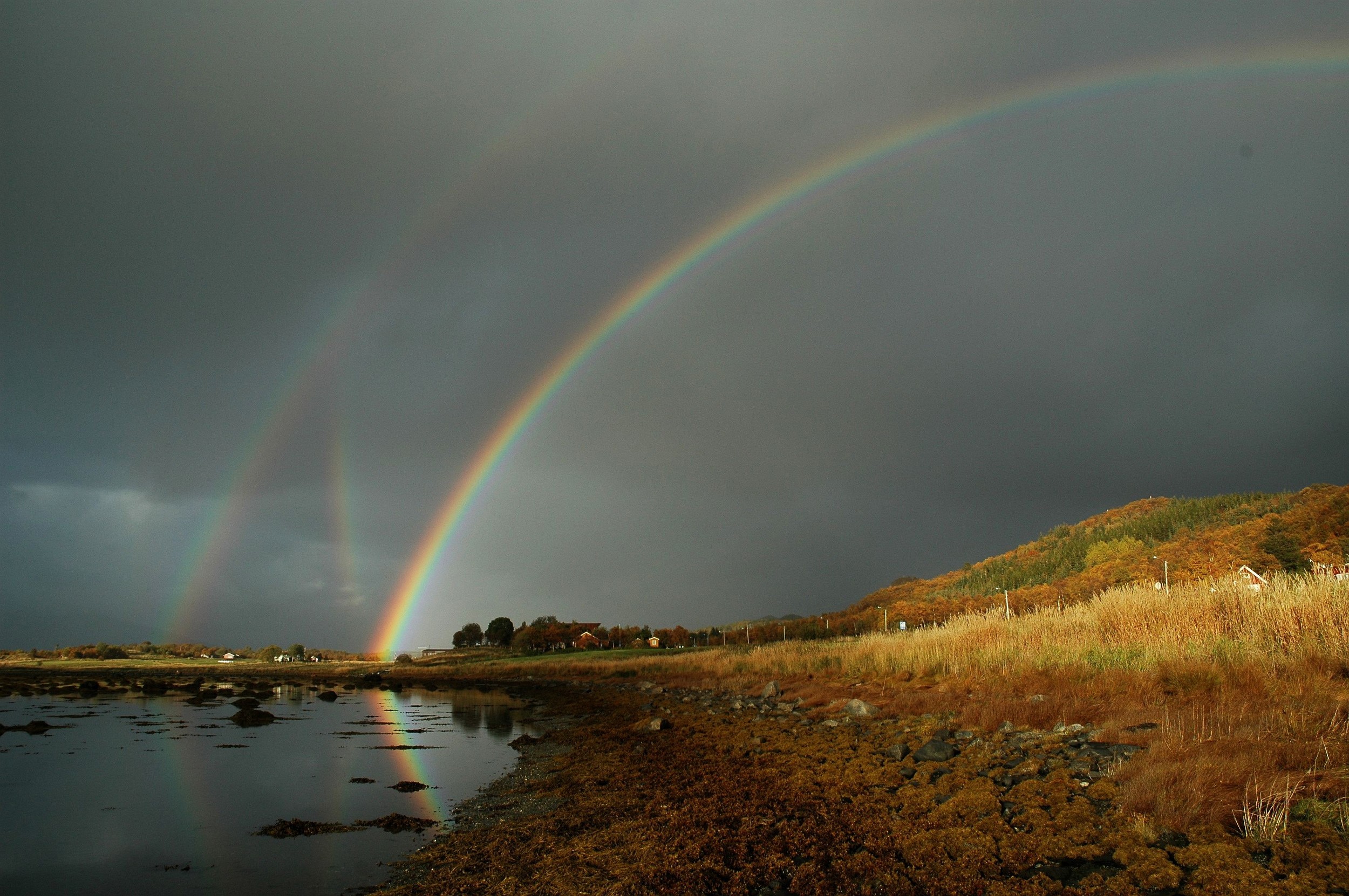 Rainbows.jpg