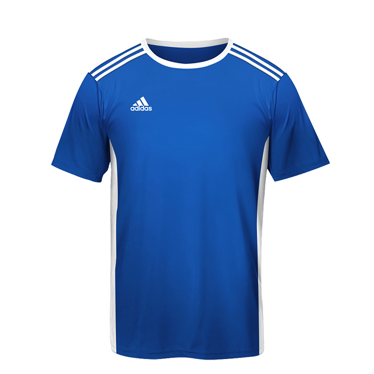 adidas entrada 14 jersey