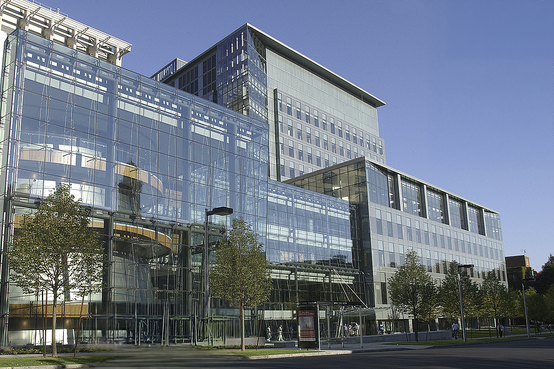Join Us for the Testicular Cancer Conference Boston at Harvard Medical ...