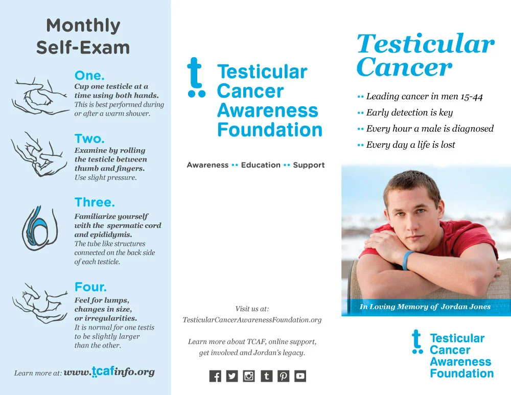 English Testicular Cancer Brochures Testicular Cancer Awareness Foundation