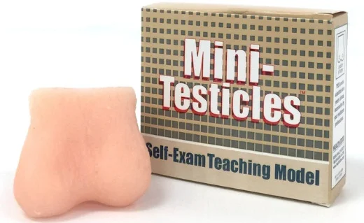 Mini Testicles - Self-Exam Teaching Model