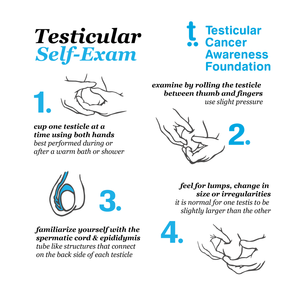 Testicular Self Exams — Testicular Cancer Awareness Foundation