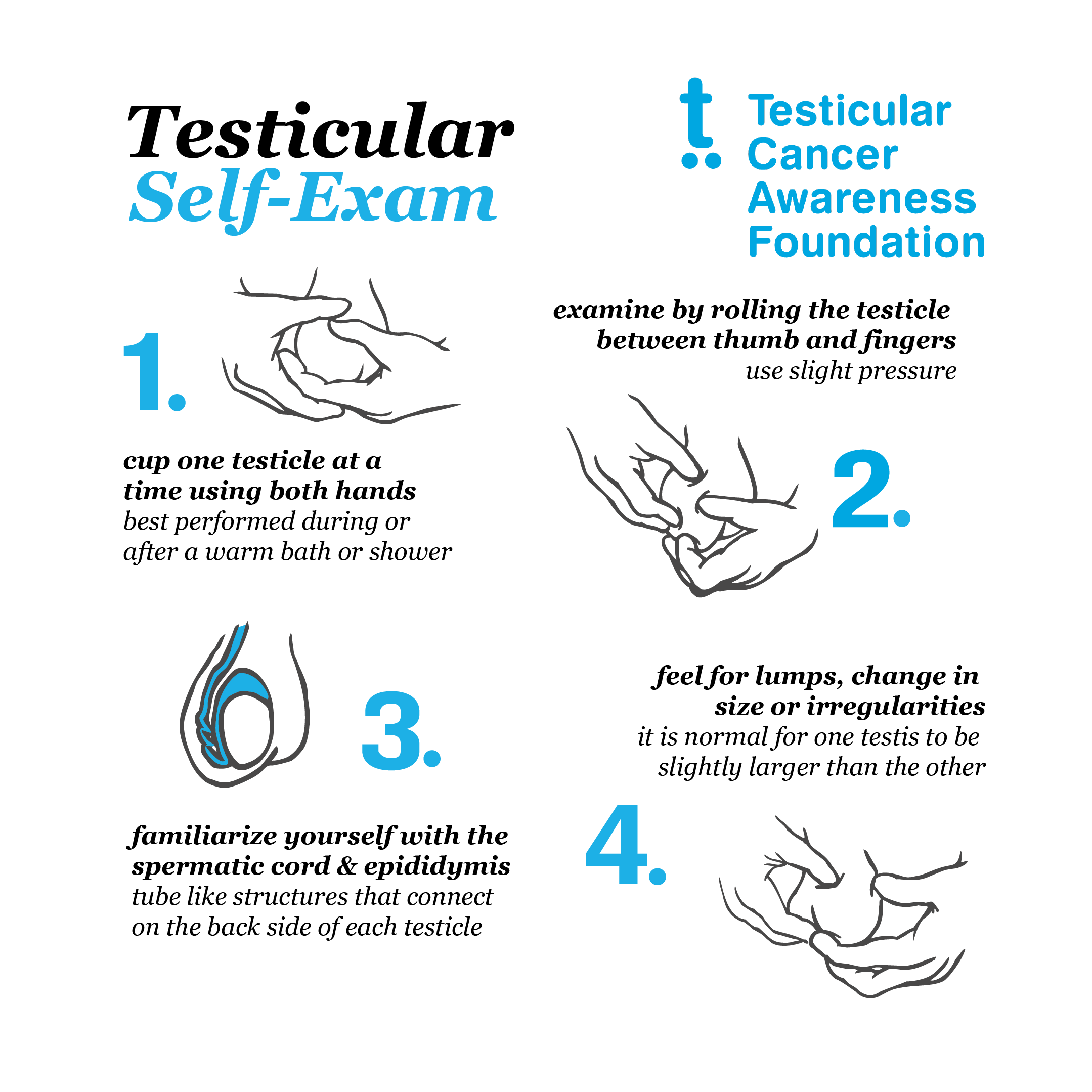 Testicular Self Exams — Testicular Cancer Awareness Foundation 