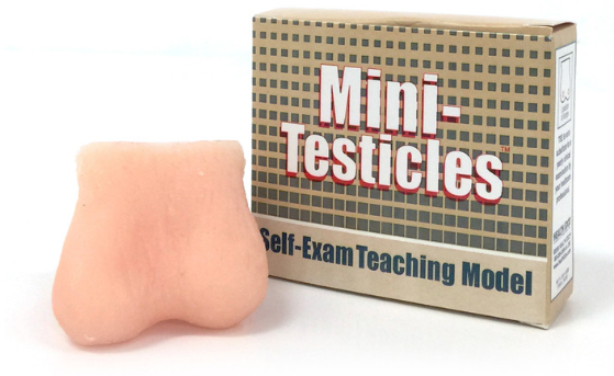 Testicular Cancer Mini-Testicles Model