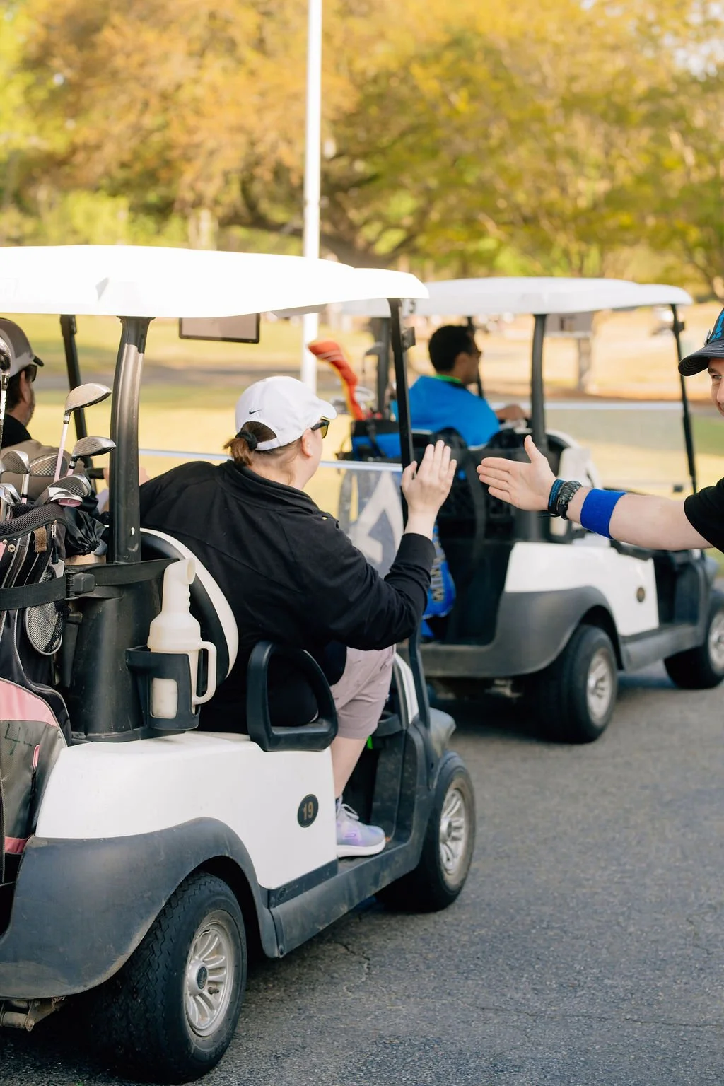 ARP_1951.jpg
