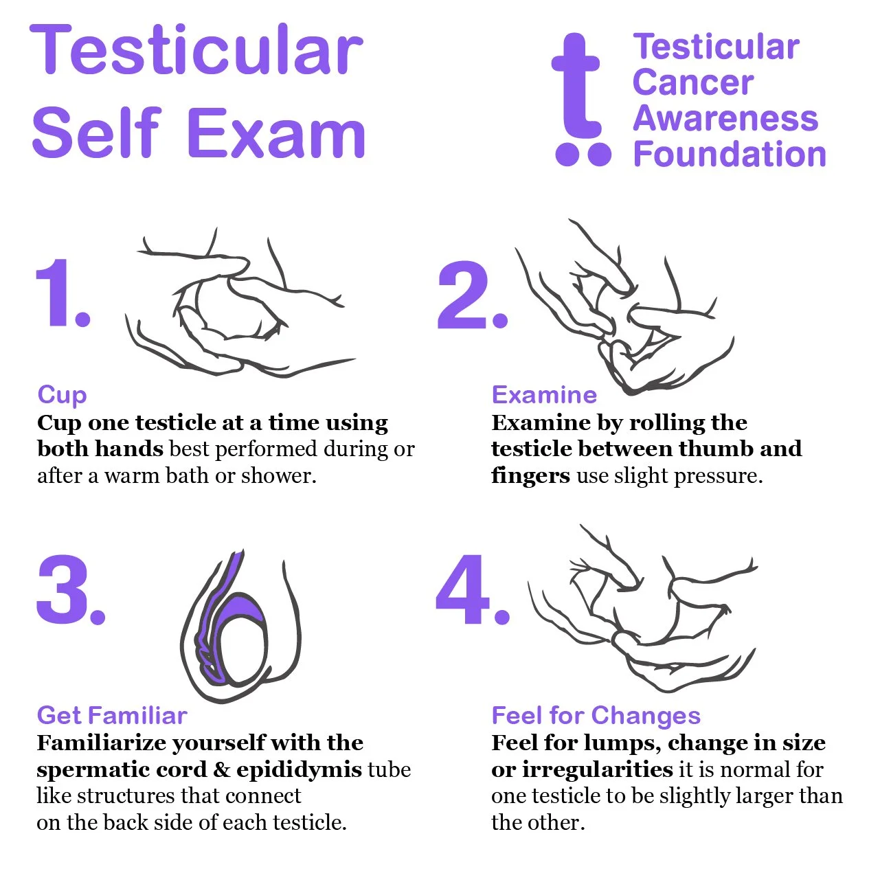 TSE-Self Exam_Update 2026.jpg