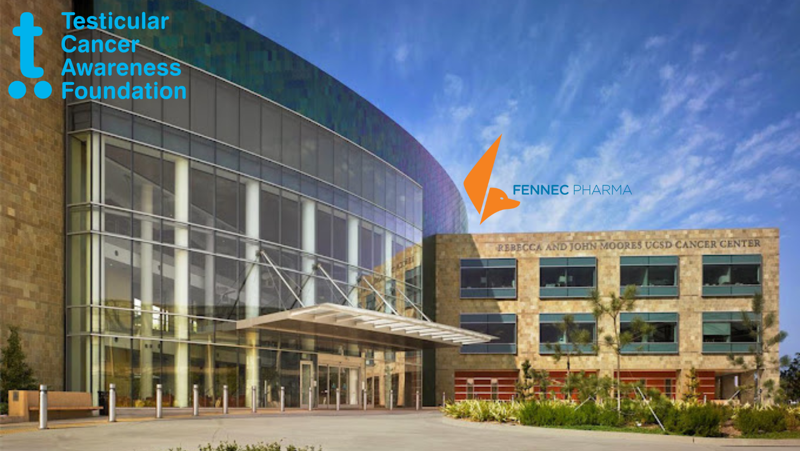 Join Us for the Testicular Conference in 2024 — TCAF