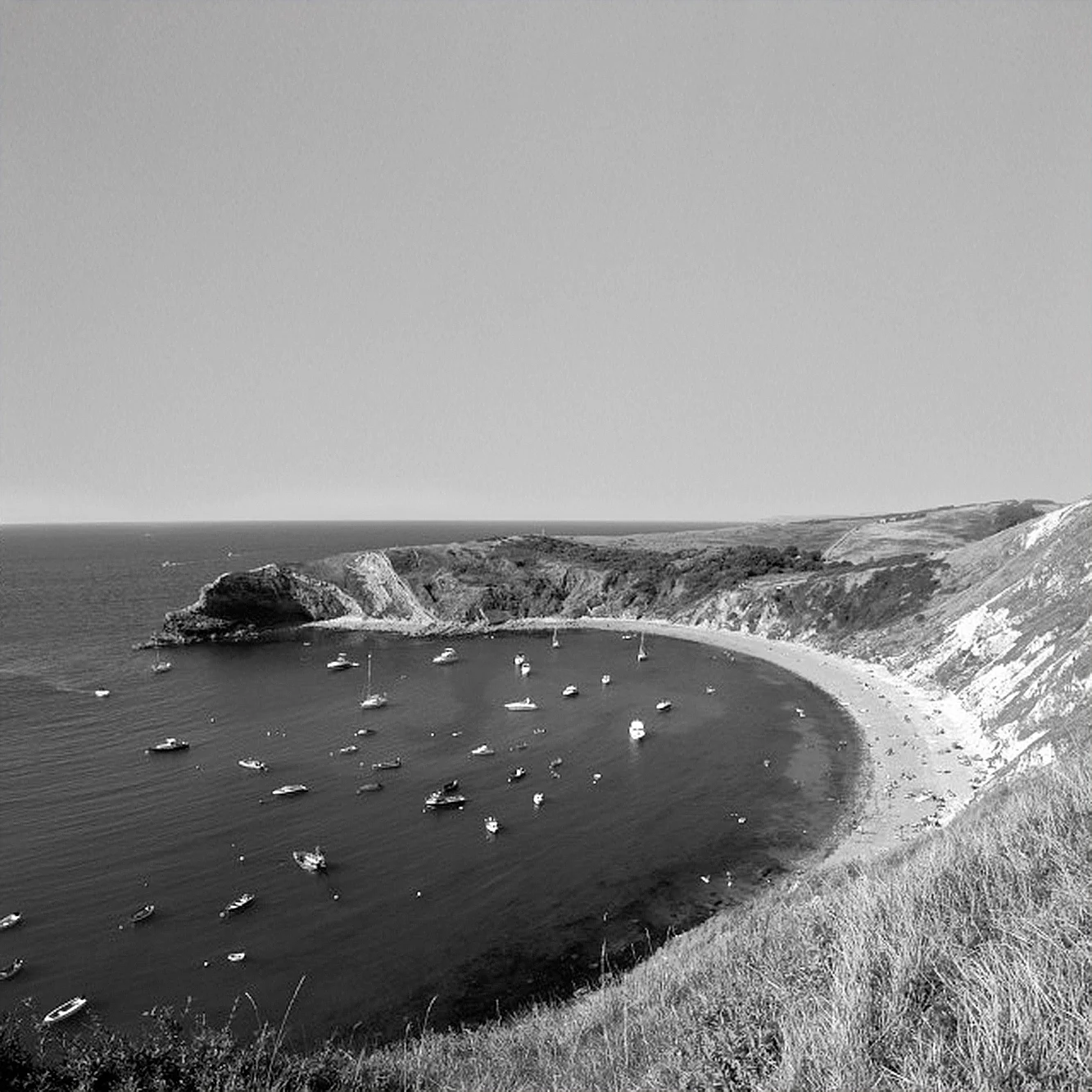 coveimageBW.jpg
