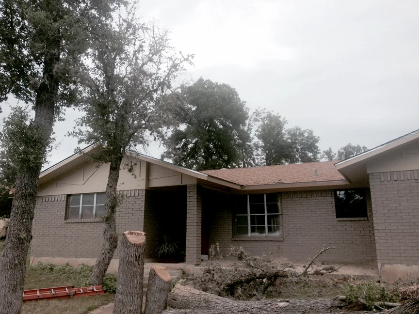 Unfortunately, Oak Wilt had killed off many old Oaks throughout the neighborhood. We removed many from the property.