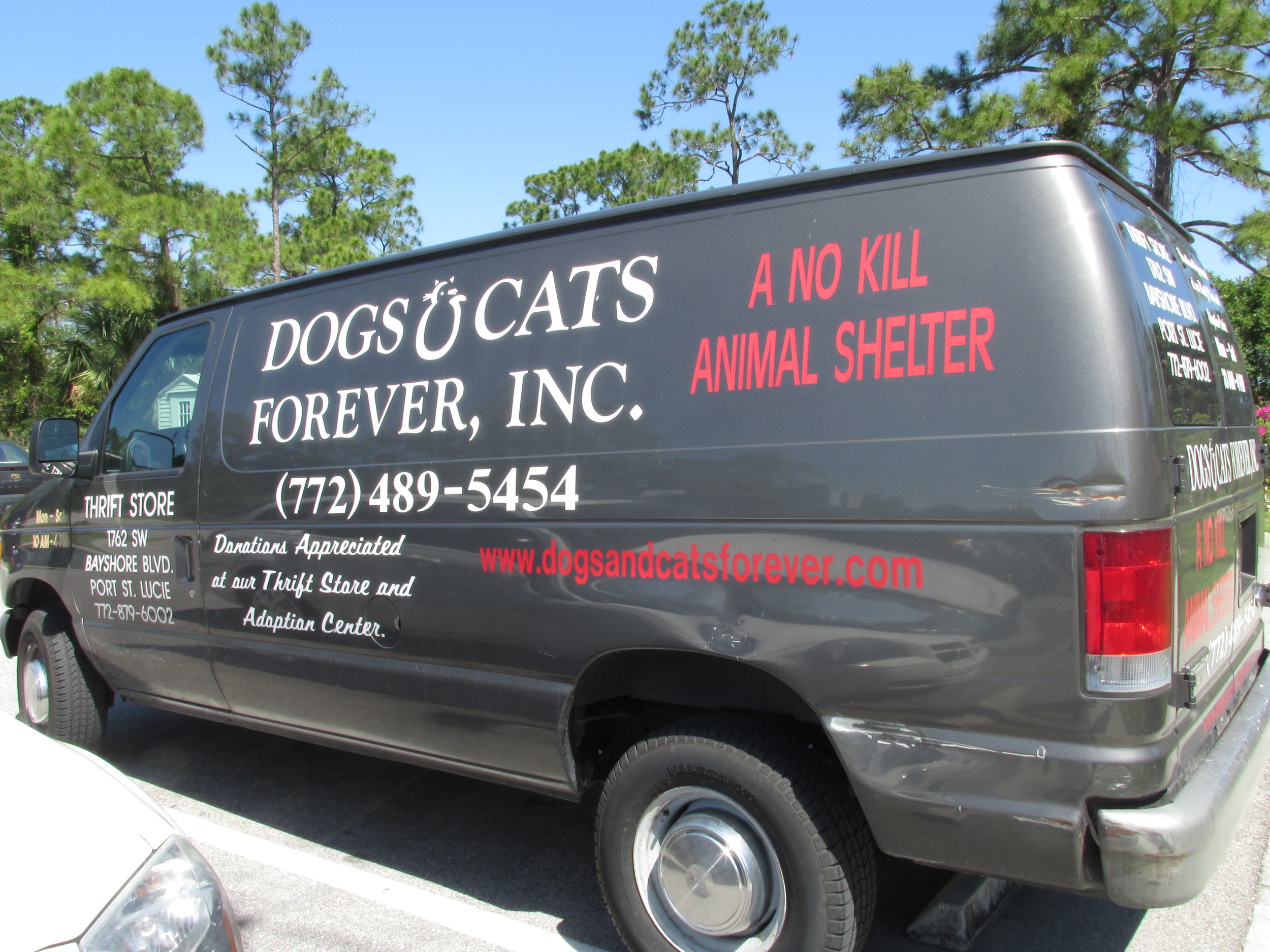 Dogs And Cats Forever Fort Pierce Florida