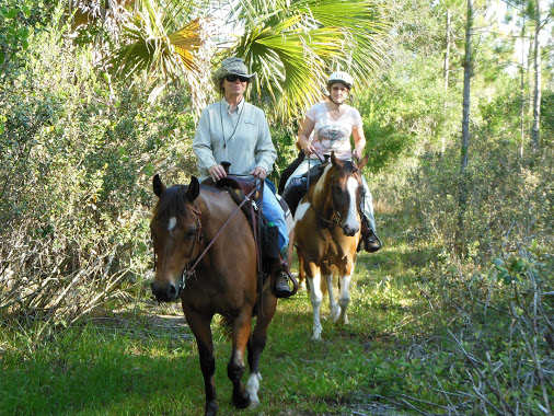 Kathy Brown Riding "Moonpie"
