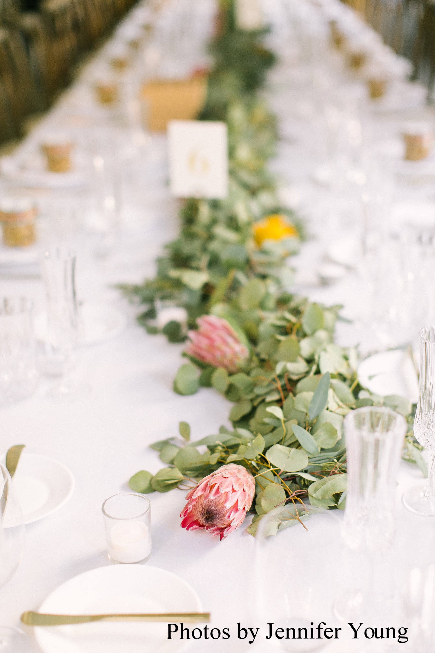 JRWED-241.jpg